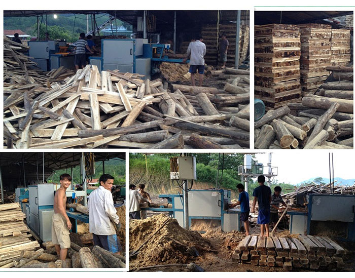 圓木多片鋸-越南-廣寧省-先安250型機加工現(xiàn)場