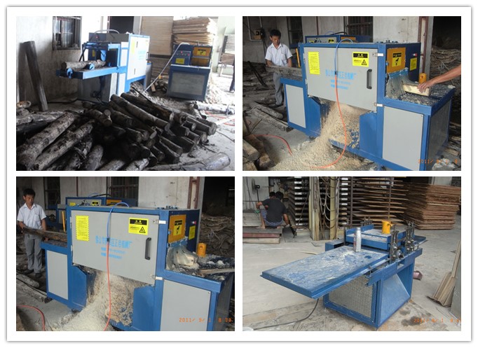 安徽蕪湖-原木多片鋸、清邊機工作圖