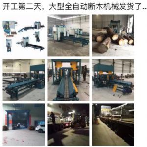 2017年發貨國內250型原木斷木機生產線&nbsp;圓木截木機，鋸木機生