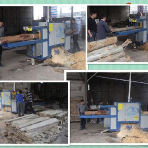 廣東-中山-鋸桉木25原木多片鋸加工現(xiàn)場(chǎng)