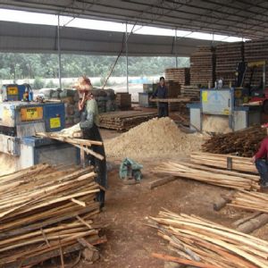 海南島-方木多片鋸加工現場0