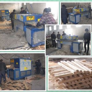 河南-南陽-原木多片鋸350-方木70多片鋸加工現(xiàn)場