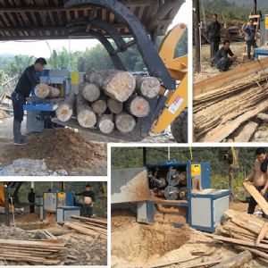 原木多片鋸-圓木多片鋸-200型廣西-寧南加工現場