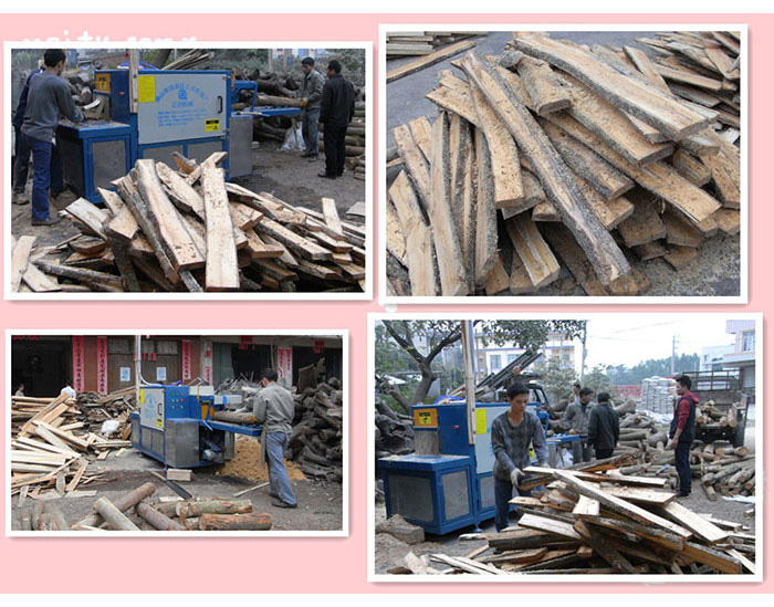 廣西-賀州-鋸扎木20原木多片鋸加工現場