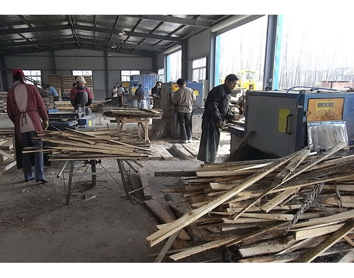 江蘇省-淮安市-楚洲區(qū)-25圓木機(jī)15方木機(jī)加工現(xiàn)場